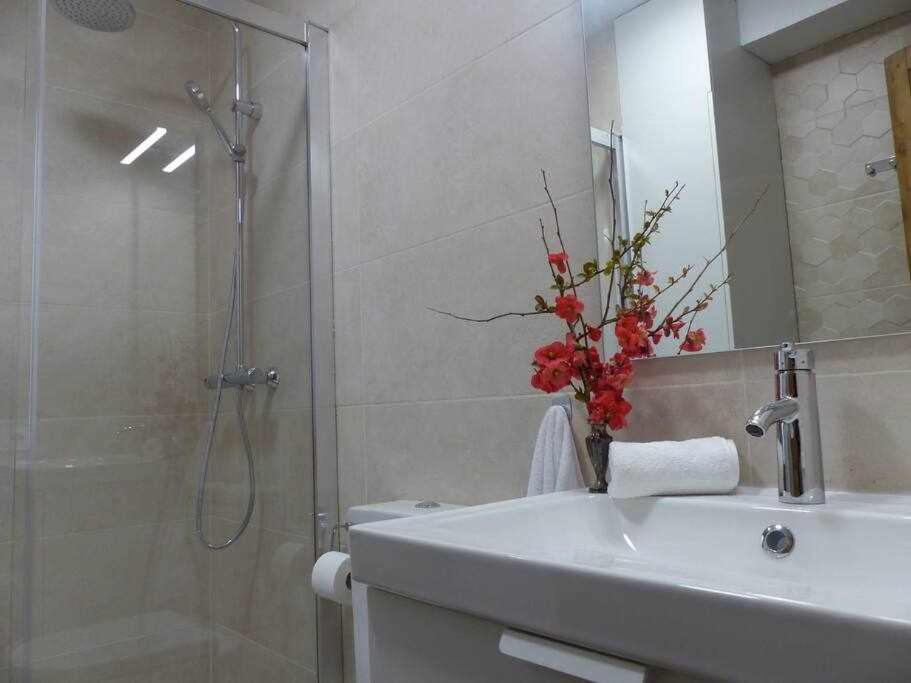 Apartamento Abside De San Juan II Estella Εξωτερικό φωτογραφία
